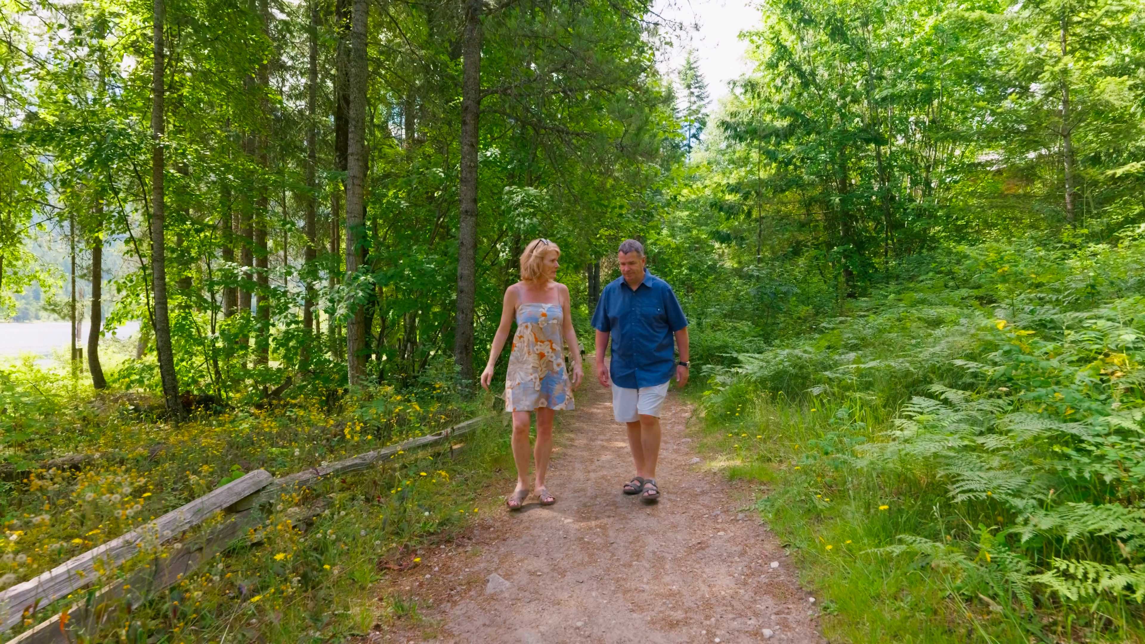 Walking beneath the trees in the Balfour area