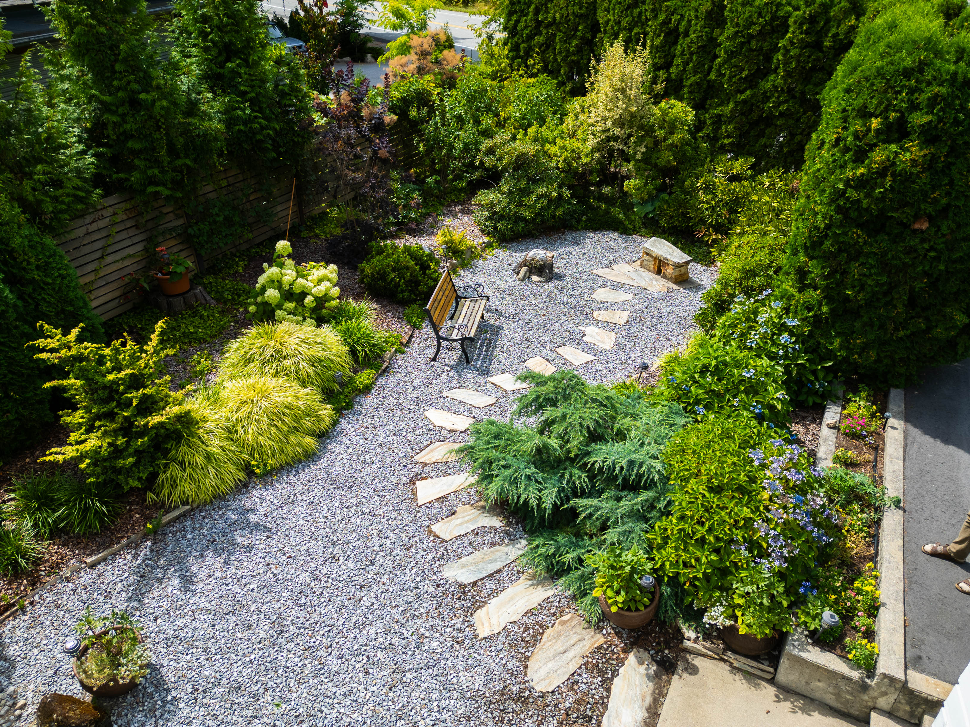 Landscaped garden with bench and stone pathway