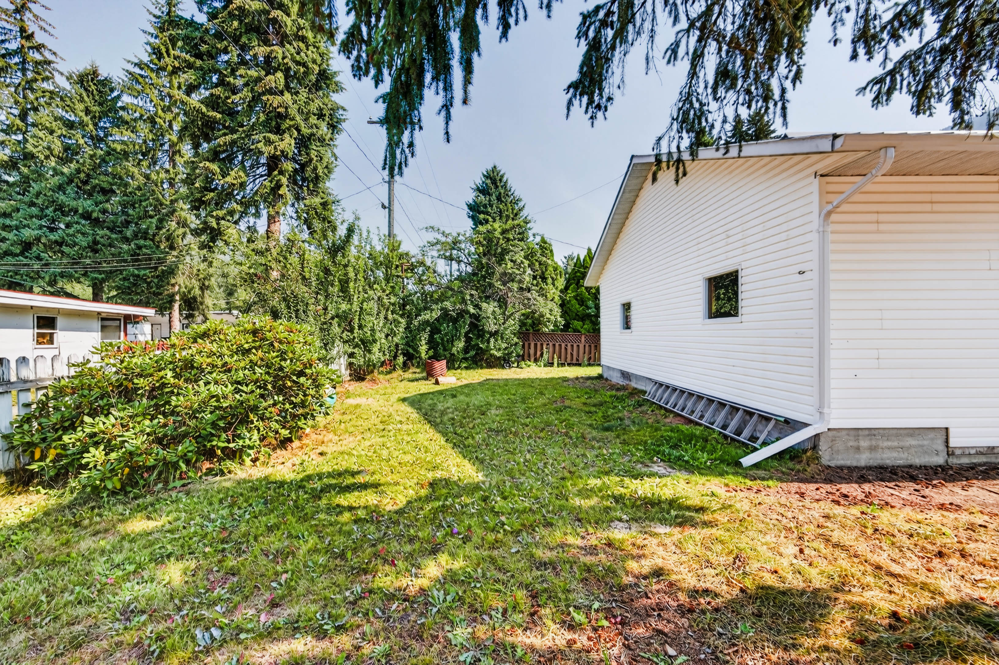 Sunny side yard with mature trees and established shrubs
