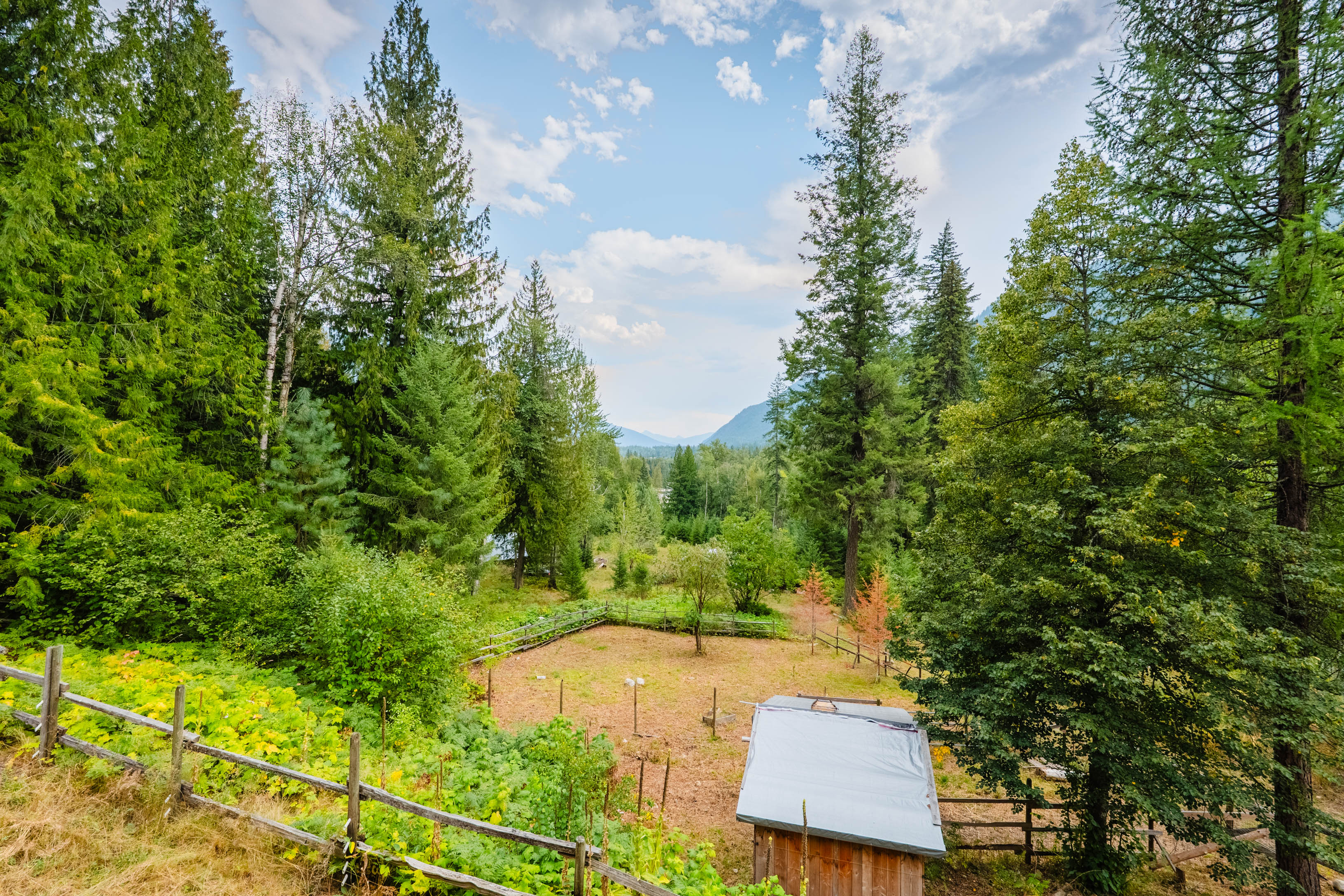 View across the acreage at 3360 Little Slocan South Road showing fenced open space, vegetation, mature trees and the surrounding valley.