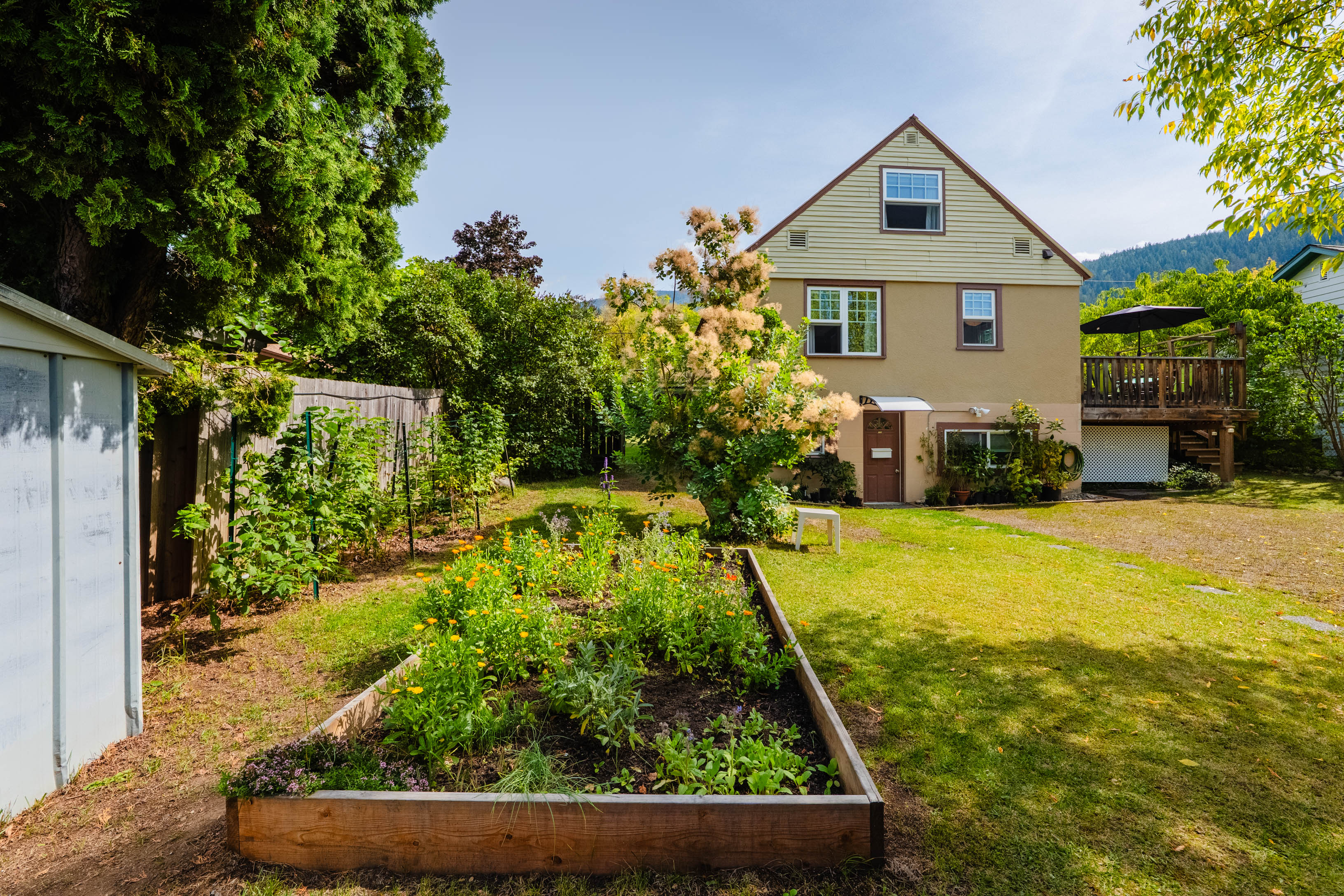 Back garden with raised planting beds, lawn, mature greenery and deck