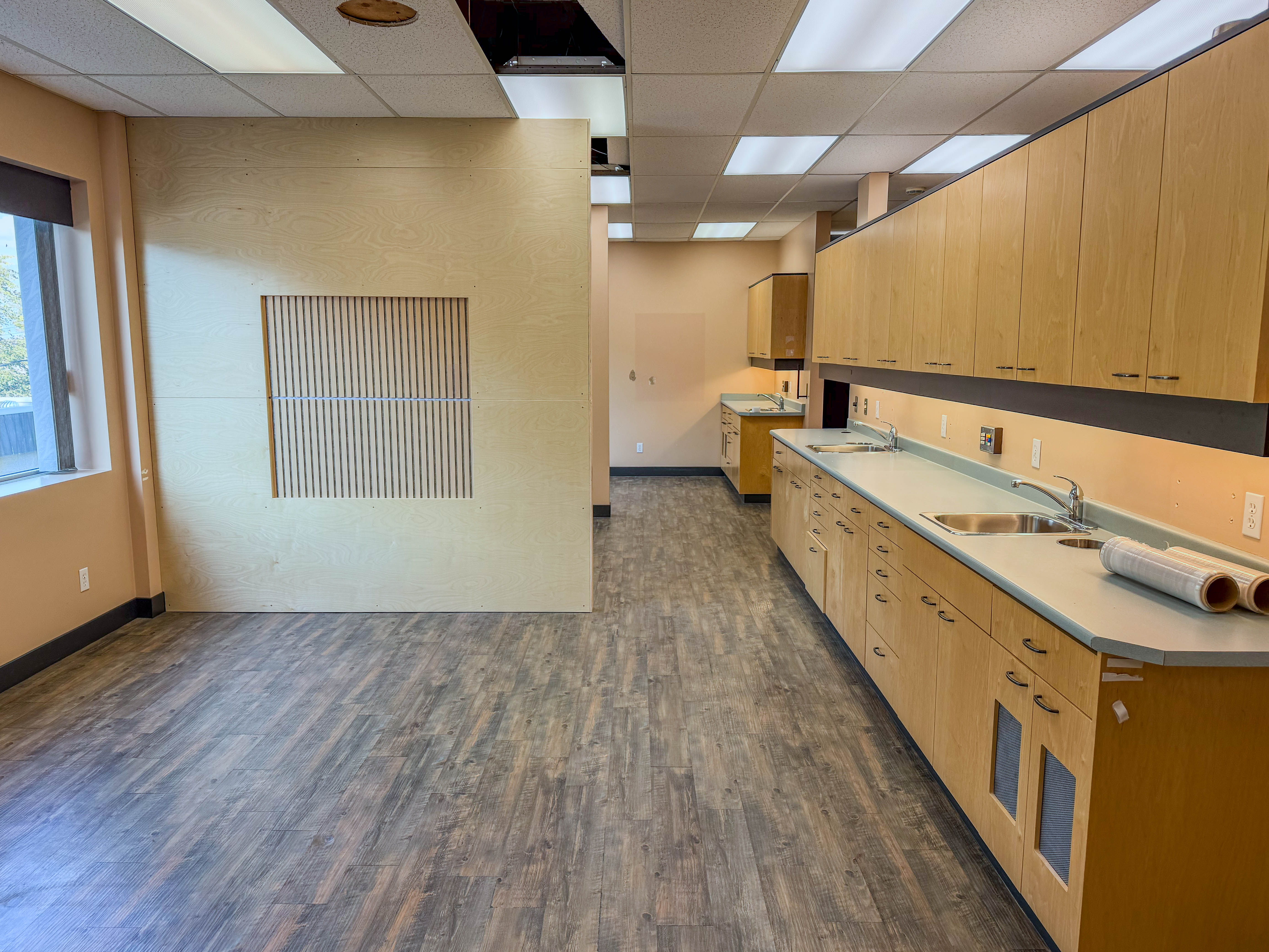 Treatment room cabinetry and counter at 310 Hall Street