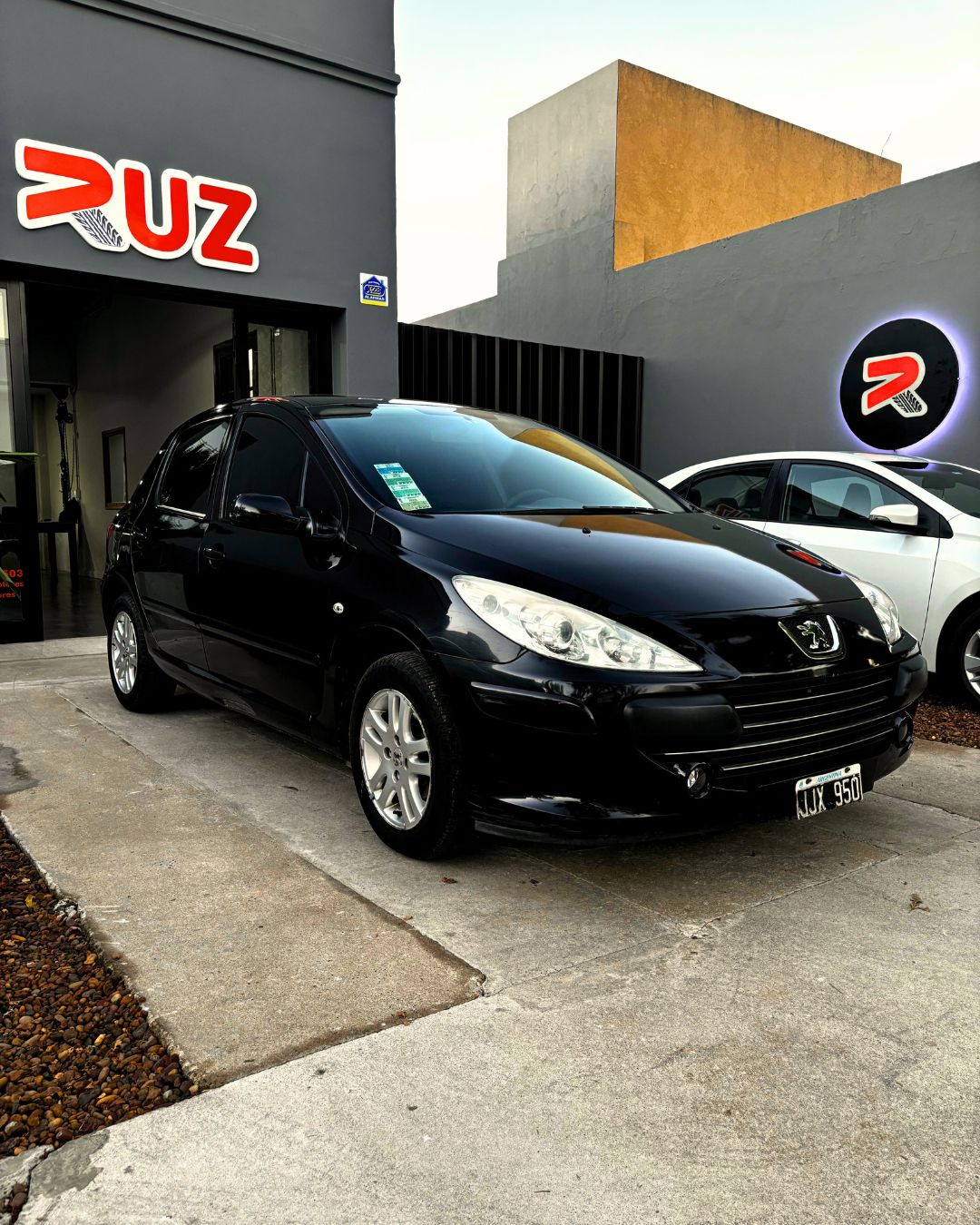 Peugeot 307 1.6