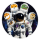The Moon Memes