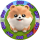 TheBooCoin