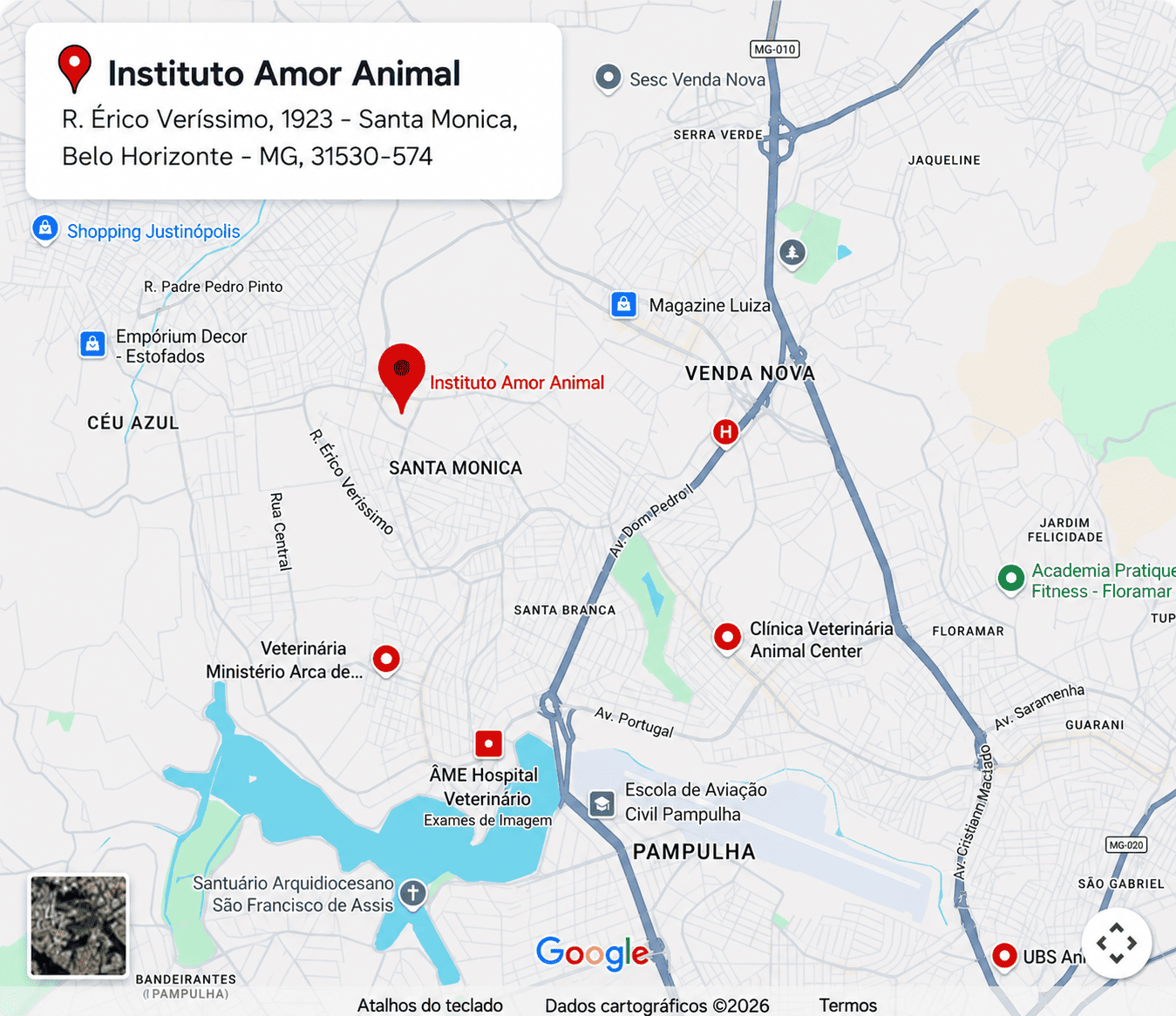 Localização — Instituto Amor Animal