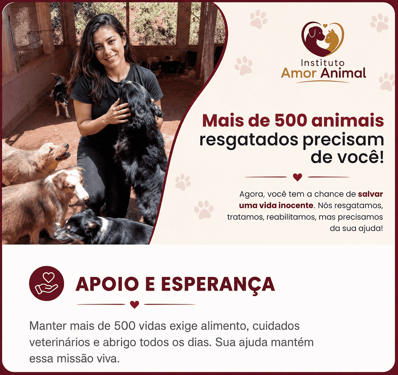 Instituto Amor Animal
