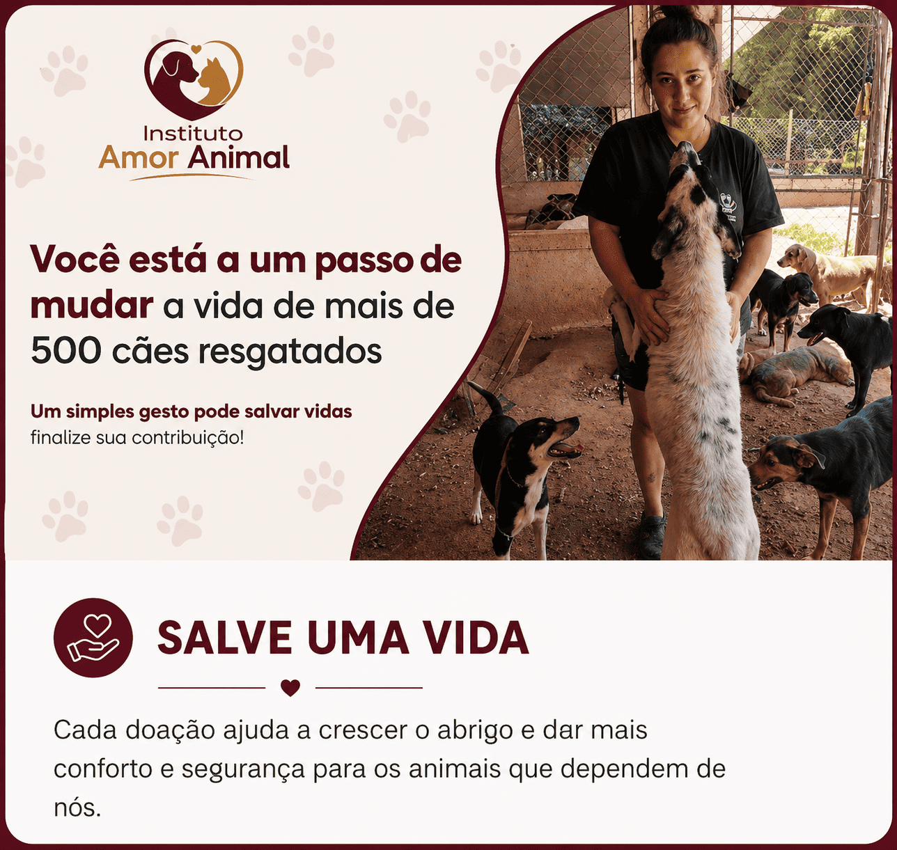 Instituto Amor Animal