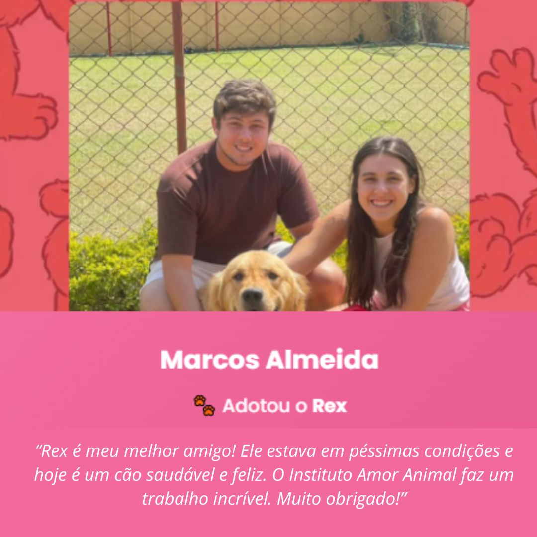 Depoimento — Instituto Amor Animal