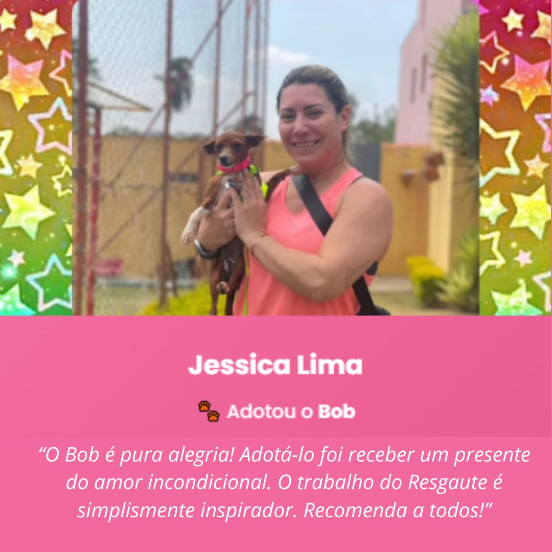 Depoimento — Instituto Amor Animal
