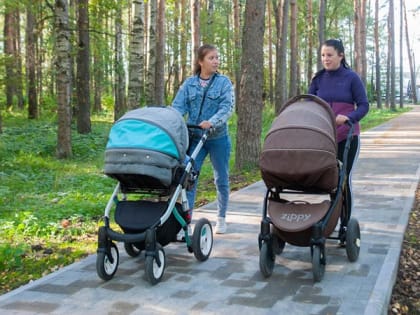 Семьи Ивановской области могут воспользоваться сервисом «Рождение ребенка» на портале Госуслуг