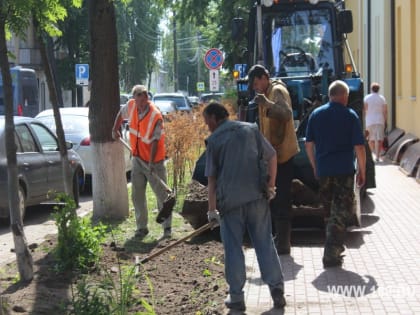 В Кинешме приводят в порядок газоны