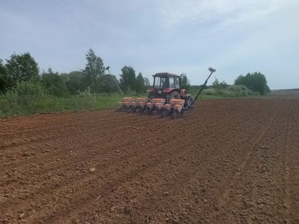 Завершаются весенне-полевые работы
