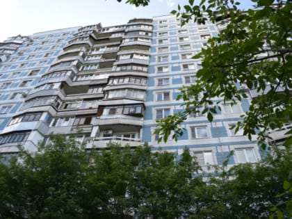 В рамках реконструкции Лежневской улицы будет высажено 152 дерева и более 10000 кустарников