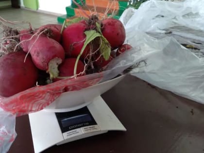 Лаборатория под открытым небом