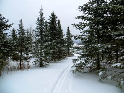 Погода в Савинском районе 27 января