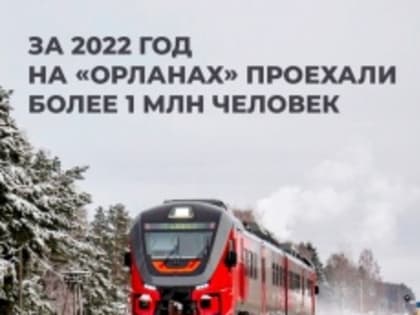 Удобные и быстрые “Орланы” связали Кинешму, Шую, Тейково, Фурманов, Вичугу и Гаврилов Посад с Иваново.