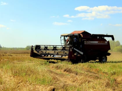 В Кинешемском районе продолжается уборочная страда