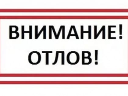 С 13 февраля 2023г. будет осуществляться отлов животных находящихся без владельцев