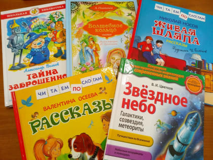 «Единая Россия» собирает книги для сельских библиотек
