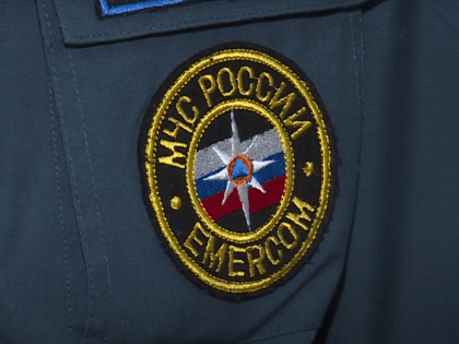 В Заволжском районе произошел лесной пожар