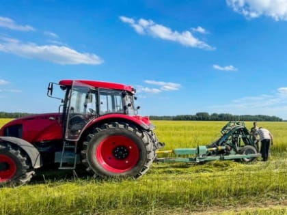 В Ивановской области началась уборка льна