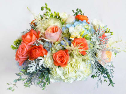 Уважаемые работники социальной сферы!