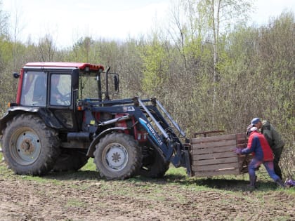 В Кинешемском районе подвели итоги сбора картофеля и овощей