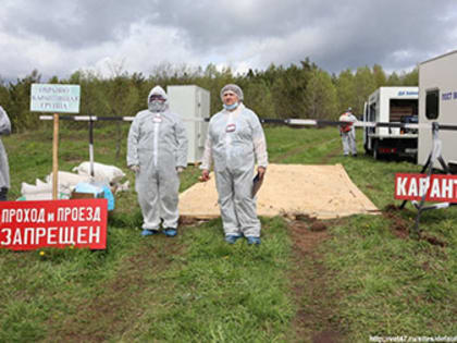 Не покупайте свинину в случайных местах
