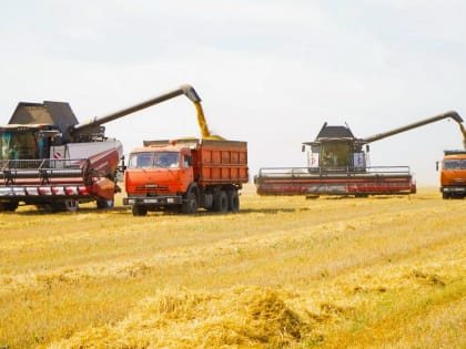 В Ивановской области зерновые убраны с 80 процентов площадей