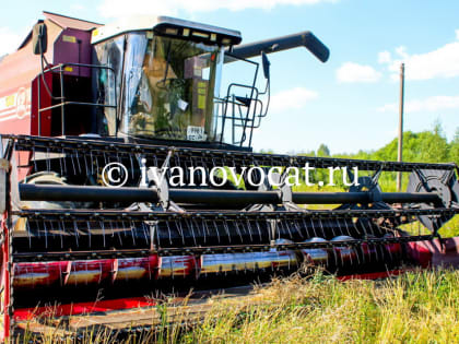 Уборочная кампания в Ивановской области приобретает активный ход