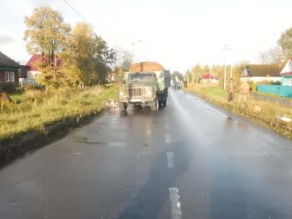 В Пучеже пьяный водитель большегруза насмерть сбил велосипедиста