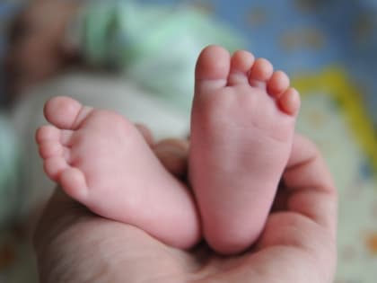 Студенческий маткапитал в Ивановской области в 2023 году получили 37 молодых семей