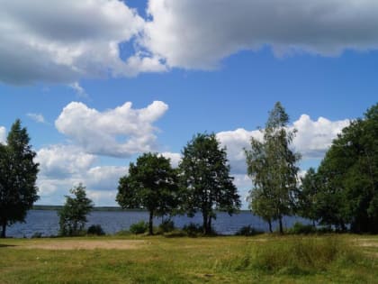 Алкоголь и отдых на берегу несовместимы!