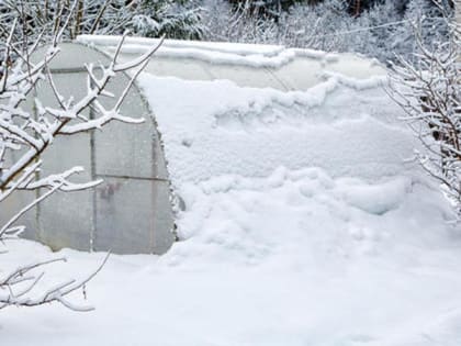 Уход за садом зимой