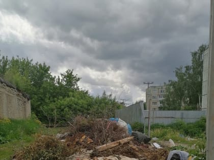 Чисто там, где не мусорят!