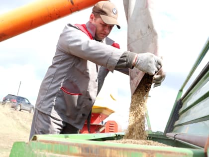 Посевная кампания в самом разгаре