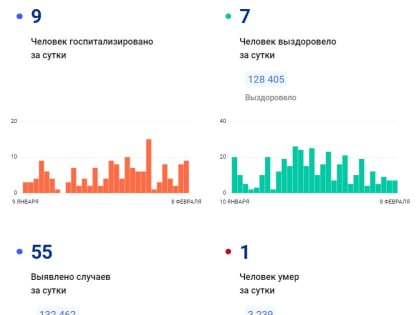 55 ковид диагнозов поставили на 8 февраля в Ивановской области