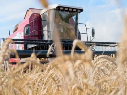 Аграрии Ивановской области собрали рекордный урожай зерновых