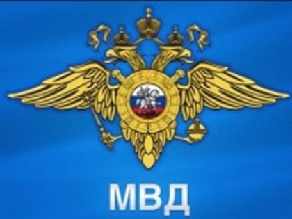 Обзор об участии в охране общественного порядка на территории Ивановской области в 2022 году