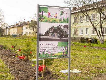 В память о погибших в годы войны в регионе высадят более 150 тысяч деревьев