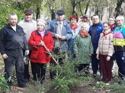 В КИНЕШМЕ, В СКВЕРЕ НА ПЕРЕСЕЧЕНИИ ПРАВДЫ – МЕНДЕЛЕЕВА ВЫСАДИЛИ ХВОЙНУЮ АЛЛЕЮ