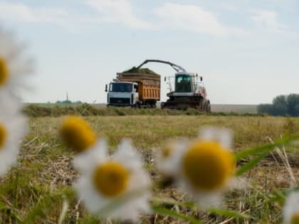 Идёт заготовка кормов