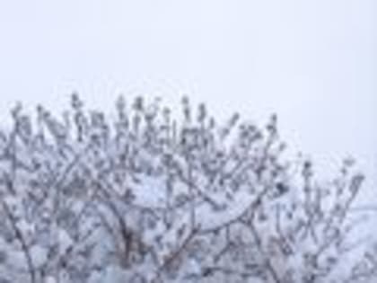 Фотоакция "Заволжская зима"