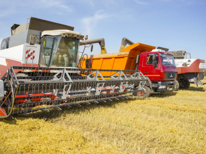 Производство сельхозпродукции в Ивановской области за 5 лет увеличилось почти на четверть