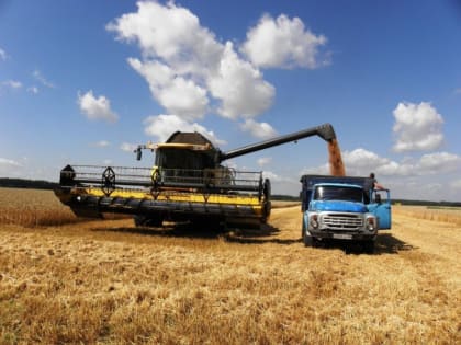 Аграрии Ивановской области собрали рекордный за 25 лет урожай зерна