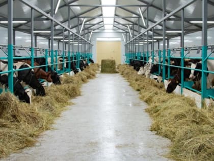 Стартовал прием документов на участие в конкурсном отборе среди фермеров на получение грантов «Агростартап»