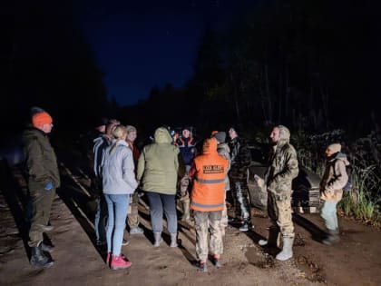 В Кинешемском районе поздним вечером искали женщину с ребенком, ушедших за грибами