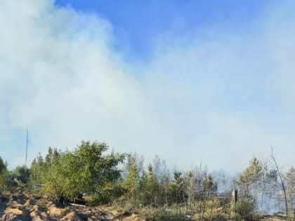 В Южском районе локализован очаг возгорания