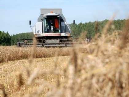 В Ивановской области ожидается рекордный урожай